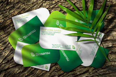 Biosensu环境咨询公司 引领可持续未来的环保智慧