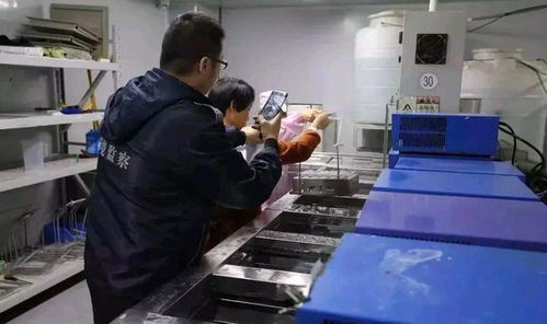 深圳环保消防严查风暴下，一家工厂的关闭与反思